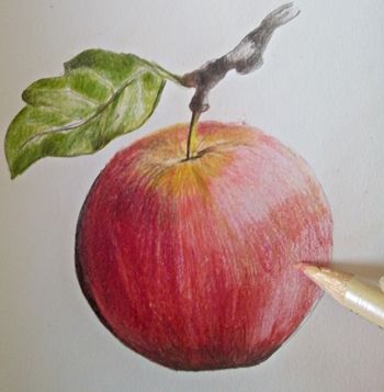 Jak narysować jabłko
